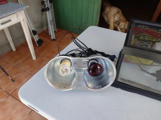 Terrario Reptiles con Lámpara Combo
