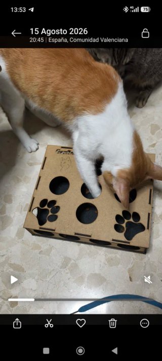 Rascador para gatos de madera