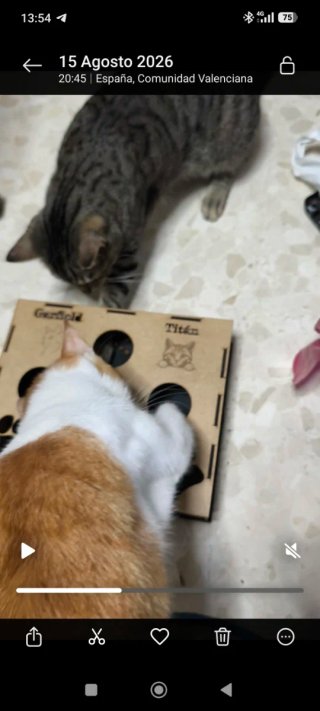 Rascador para gatos de madera