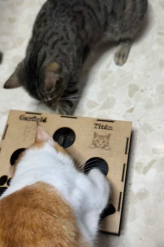 Rascador para gatos de madera