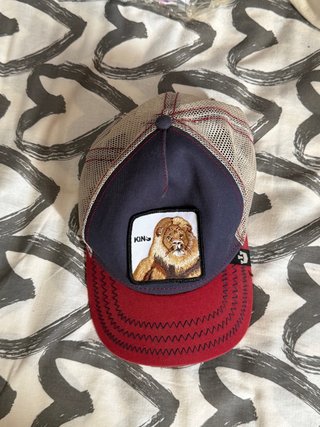 Gorra Goorin Bros León King