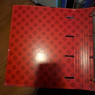 Archivador Ladybug