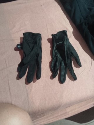 Pantalón de hípica verde