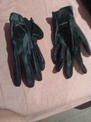 Pantalón de hípica verde