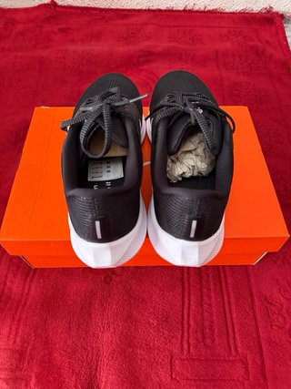 Nike Air Zoom Pegasus 40 Zapatillas