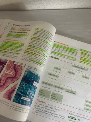 Biología y geología, Bachillerato 1 Aprender es...