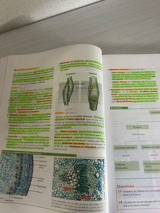 Biología y geología, Bachillerato 1 Aprender es...