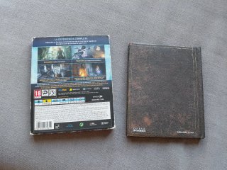 Rise of the Tomb Raider Edición 20 Aniversario PS4