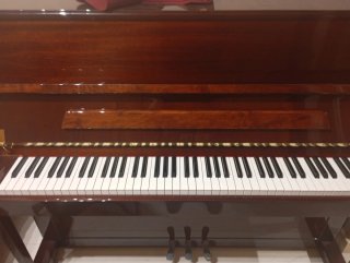Piano Petrof P118P1