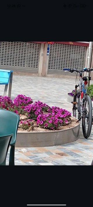 Bicicleta de montaña Scott Genius MC 50