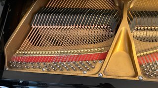 Pianoforte a coda (quarto di coda)