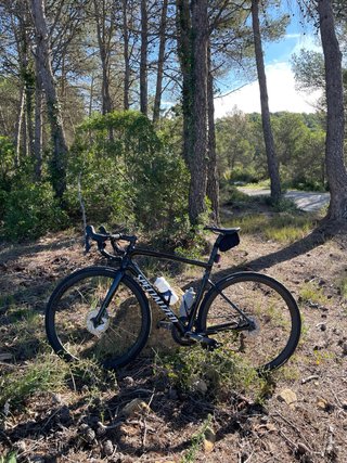 Bicicleta Specialized Expert SL6