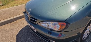 Nissan Primera 2001