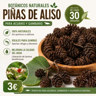 Piñas de aliso para gambas | Gambario |30 unidades