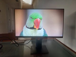 Monitor Dell 24 Full HD Negro