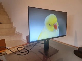 Monitor Dell 24 Full HD Negro