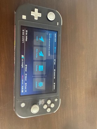 Nintendo Switch Lite.