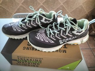 Zapatillas Boreal Alligator