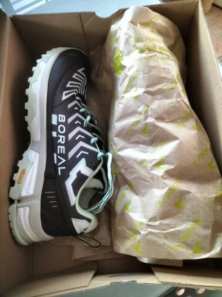 Zapatillas Boreal Alligator