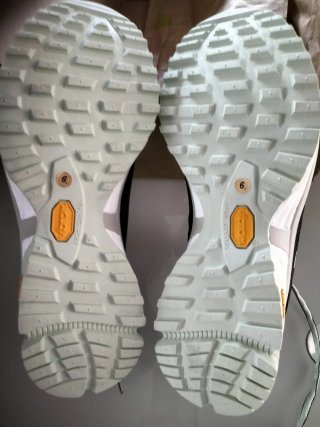 Zapatillas Boreal Alligator
