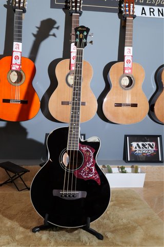 Bajo Acústico Ibanez