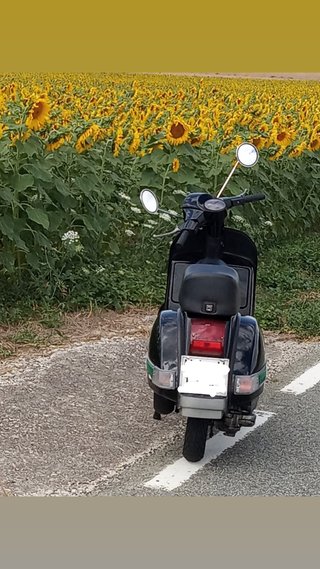 Vespa 200 iris negra 1988