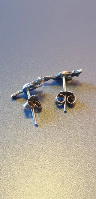 PLATA PENDIENTES BRUJA