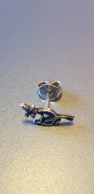 PLATA PENDIENTES BRUJA