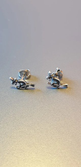 PLATA PENDIENTES BRUJA