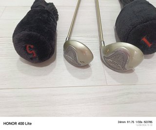 Palo de golf