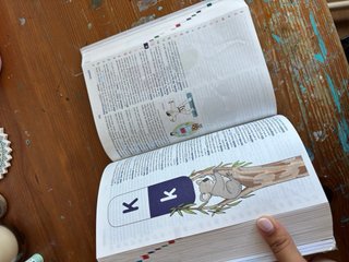 Diccionario básico de la lengua Española primaria