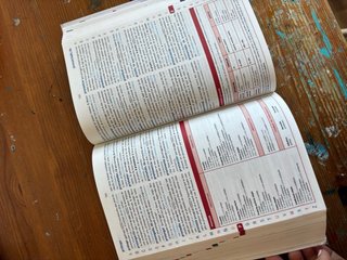 Diccionario básico de la lengua Española primaria