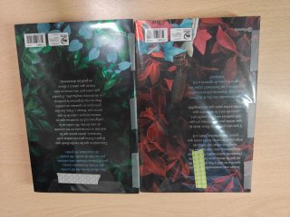 Saga de dos libros de Un reino de promesas maldita