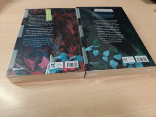 Saga de dos libros de Un reino de promesas maldita