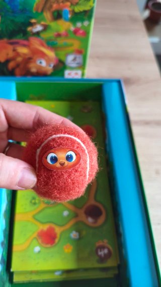 Juego de mesa Erizos, ¡a Rodar!