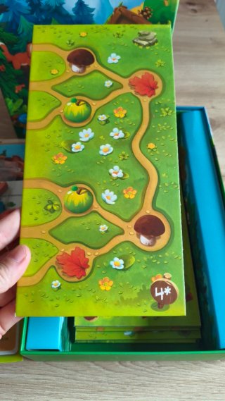 Juego de mesa Erizos, ¡a Rodar!
