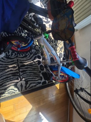 Bicicleta infantil