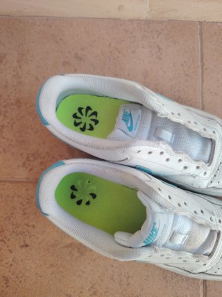 Zapatillas Nike Blancas y Azules