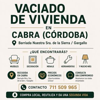 Placa vitrocerámica + horno y campana extractora