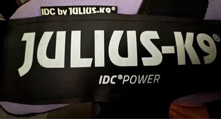 Arnés Julius-K9 IDC Power Negro/Morado