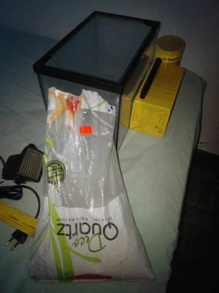 Acuario 12L con accesorios