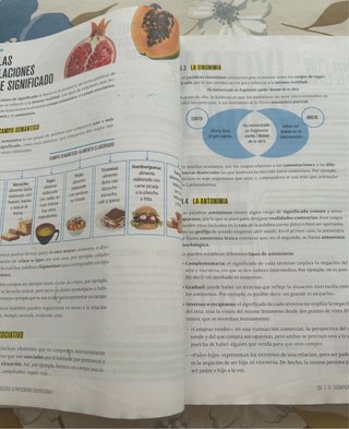 Lengua castellana y literatura, 4 Secundaria
