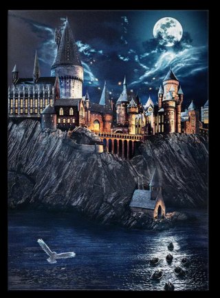 Displate Edizione Limitata Harry Potter