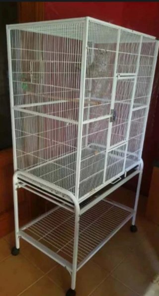 Jaula para loros y aves con Ruedas y perchas