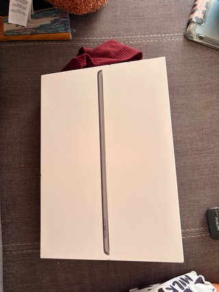 iPad 9ª Gen Gris