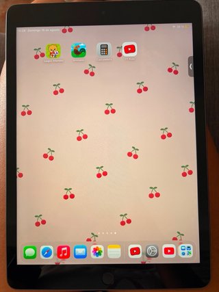 iPad 9ª Gen Gris