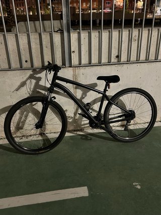 Bicicleta Negra Montaña