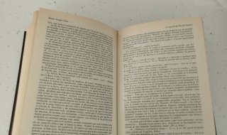 LA GUERRA DEL FIN DEL MUNDO / HISTORIA DE MAYTA