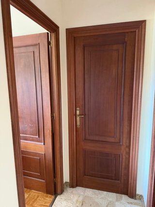 Lote de puertas de madera