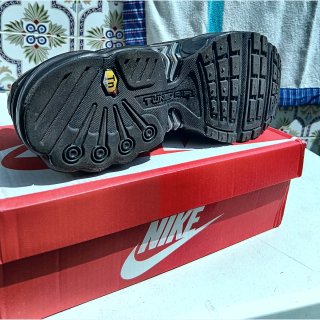 Nike Air Max Plus TN Negro/Plata